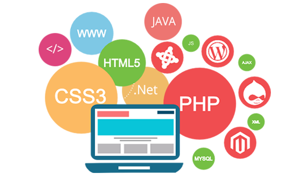 Web Development and Design
